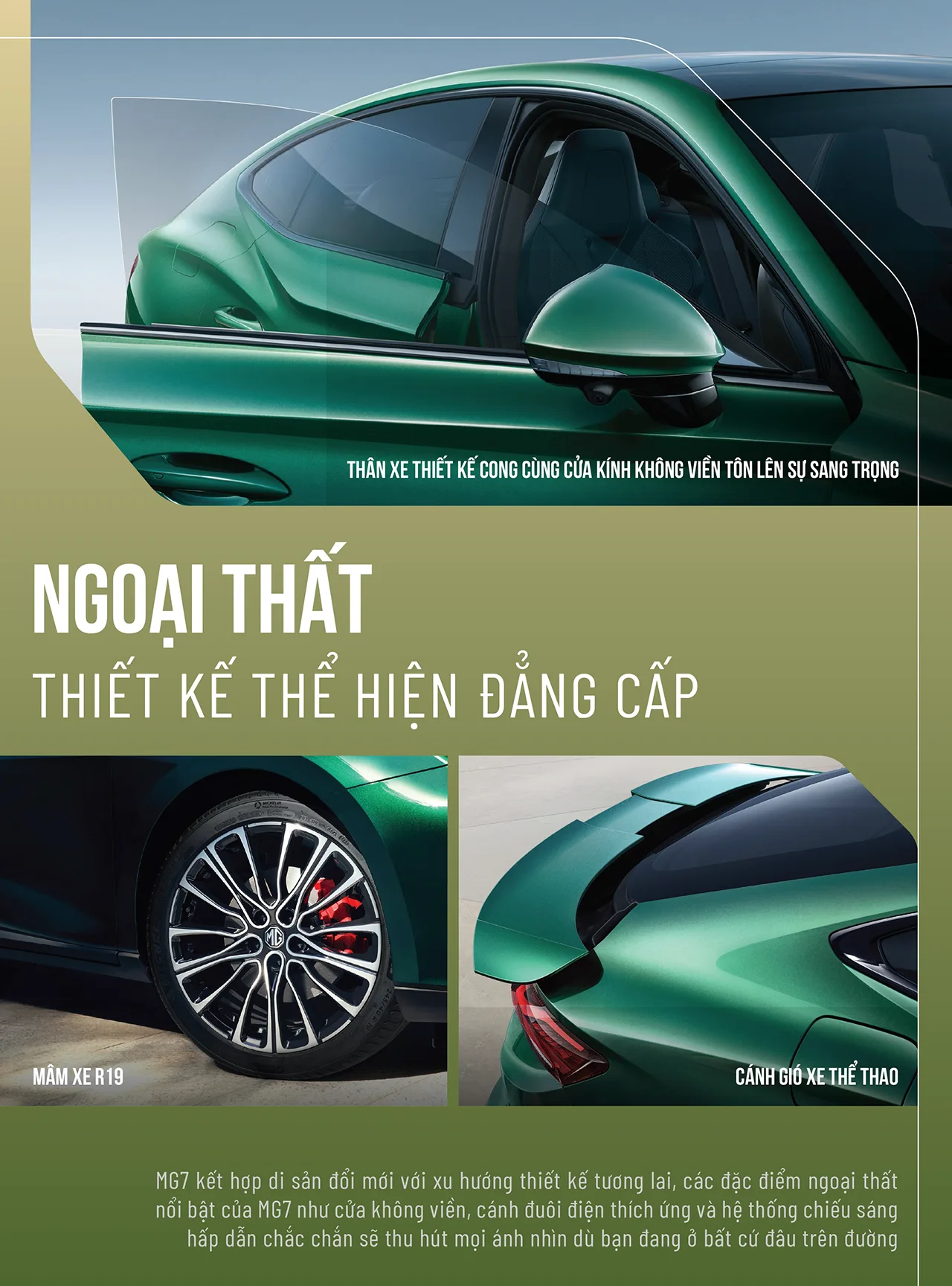 02 MG 7